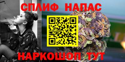 мяу мяу мука Будённовск