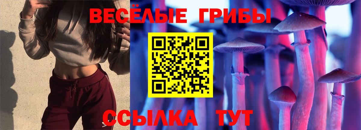 Псилоцибиновые грибы Psilocybine cubensis  Псилоцибиновые грибы MAGIC MUSHROOMS  Вход с VPN  Лыткарино 
